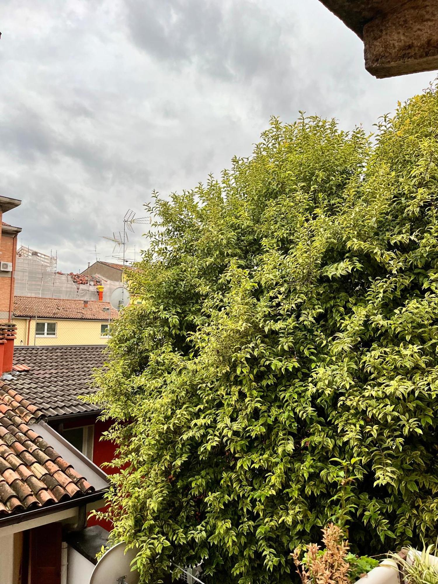 San Bernardino Monolocale Con Balcone Lägenhet Verona Exteriör bild